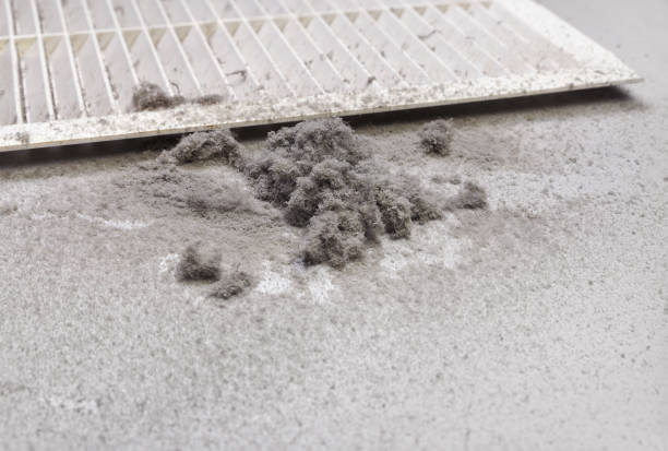 Best HVAC Duct Inspection Services  in Williston Highlands, FL