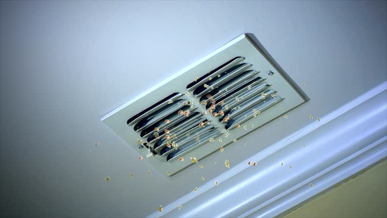 Best HVAC Duct Inspection Services  in Williston Highlands, FL