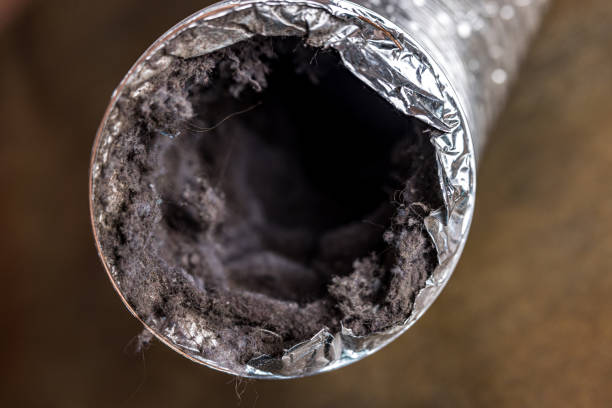 Best Ventilation Cleaning Services  in Williston Highlands, FL