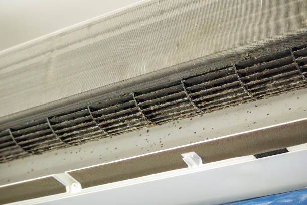 Best Residential Air Duct Cleaning  in Williston Highlands, FL